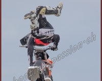 2STUNT-ZONE - 0419
